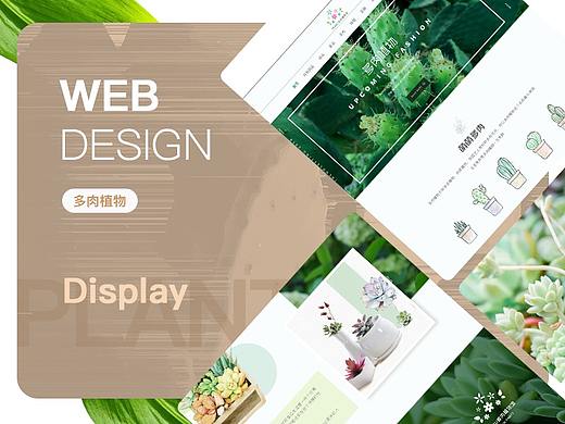 MUMU多肉植物馆网页
