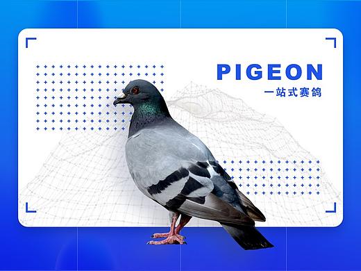 一鸽pad端