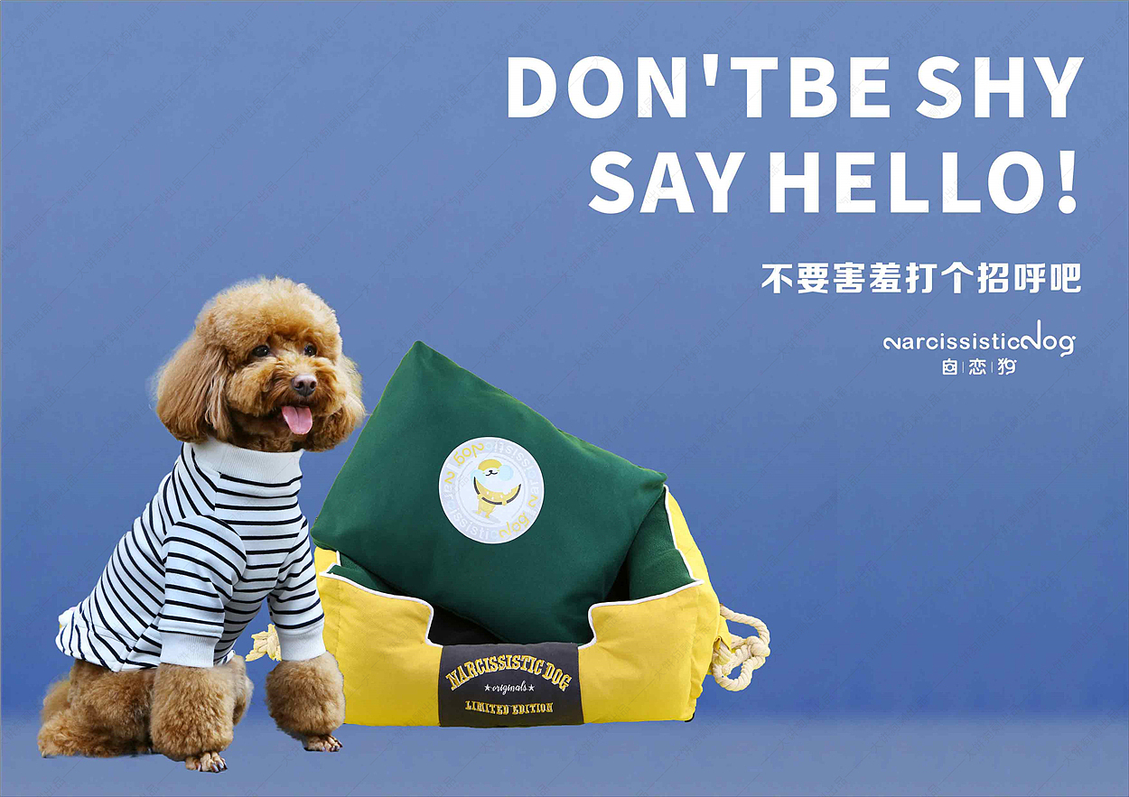 宠物服装产品 服装类宣传册排版