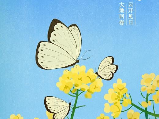 二十四节气（个人主页-ZNTQzNDQzODA=） - 商业插画 - 站酷设计师插画师叶子Y原创素材 - 站酷ZCOOL