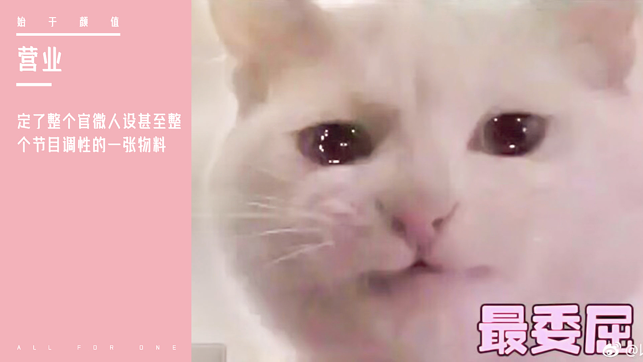《以团之名》全案汇总