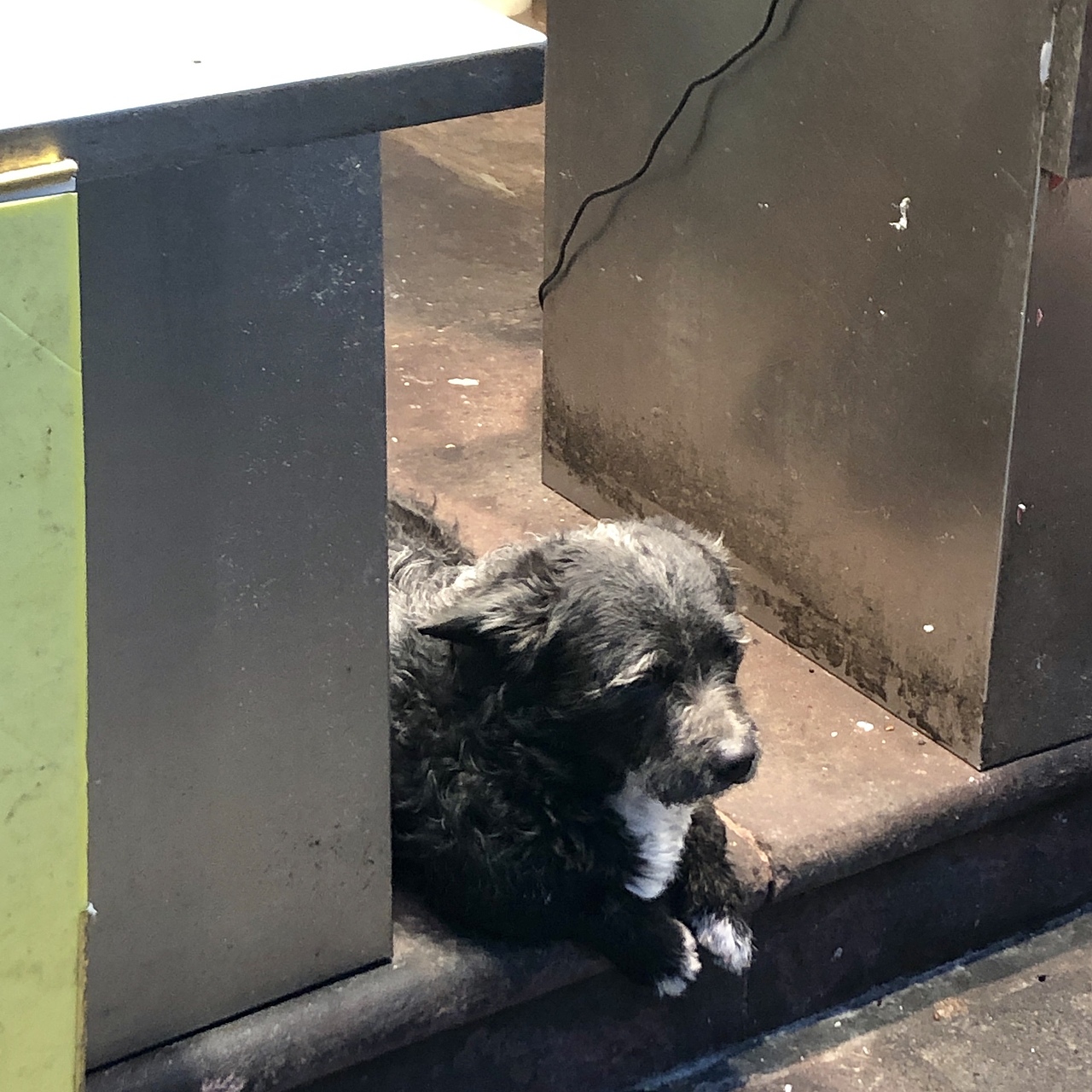 /武汉/（图ZMTQyMzU1Njcy） - 环境/建筑摄影 - 站酷设计师AAAAAPIAO原创素材 - 站酷ZCOOL