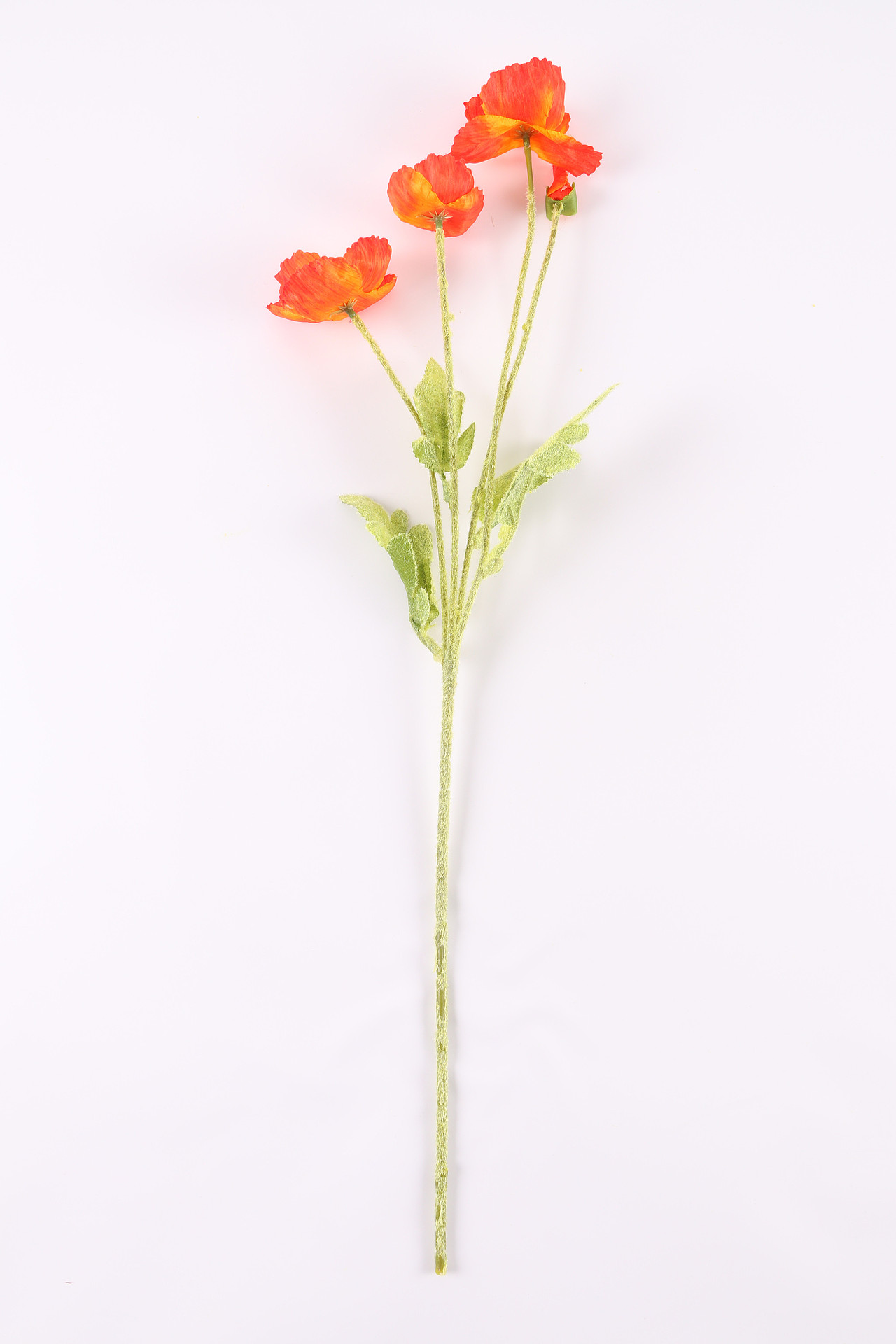 B10鲜花园艺\C02-仿真花果\V06仿真虞美人X1