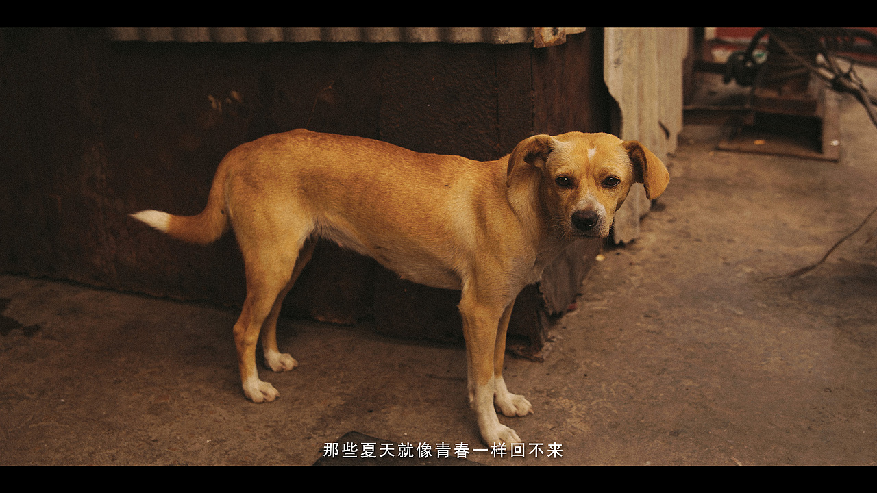 我知道这个世界每天都有太多遗憾