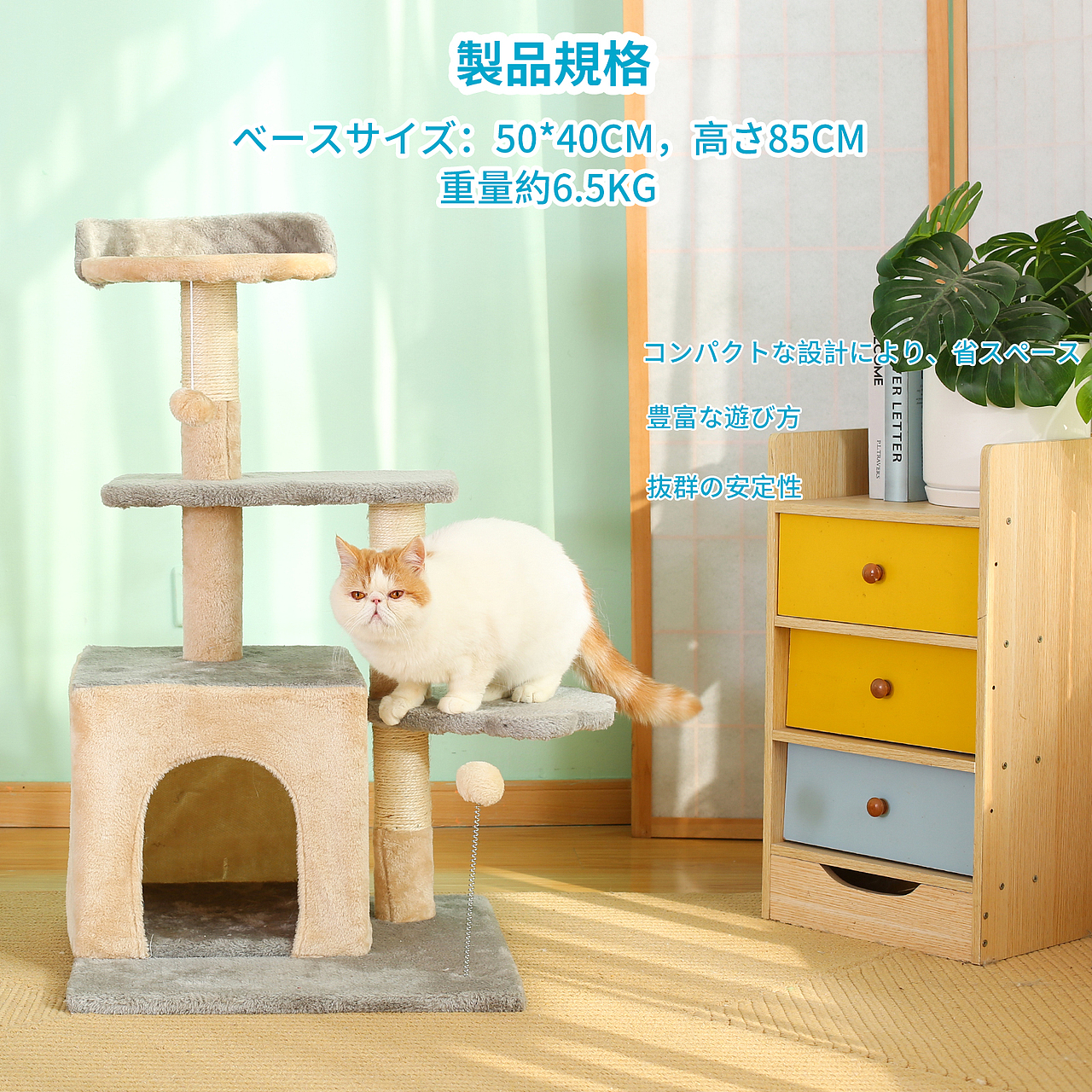 淘宝亚马逊产品拍摄A+商品主图设计视频拍摄宠物用品