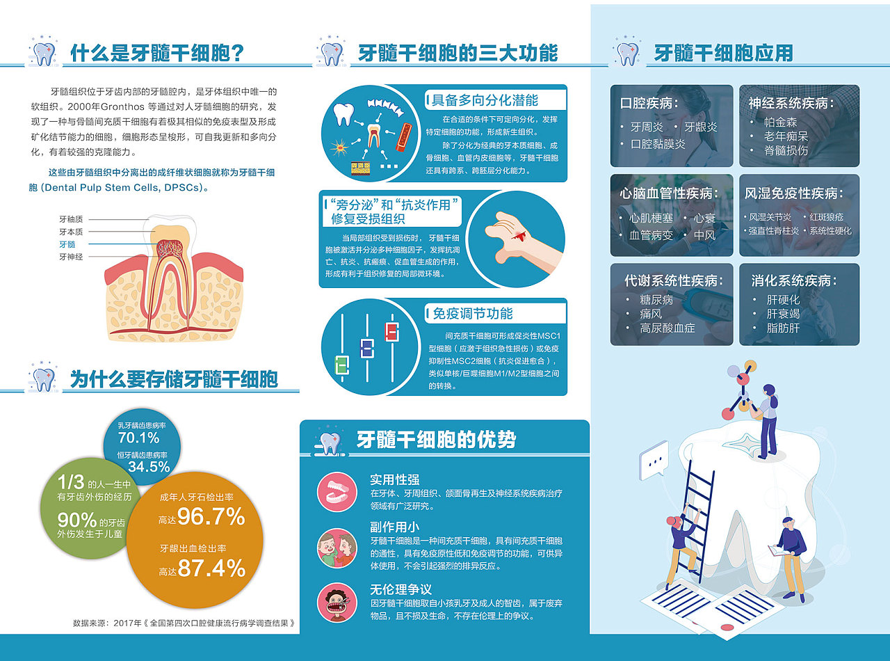牙髓干细胞 折页|平面|宣传物料|小宝88668 - 原创作品 - 站酷 (zcool