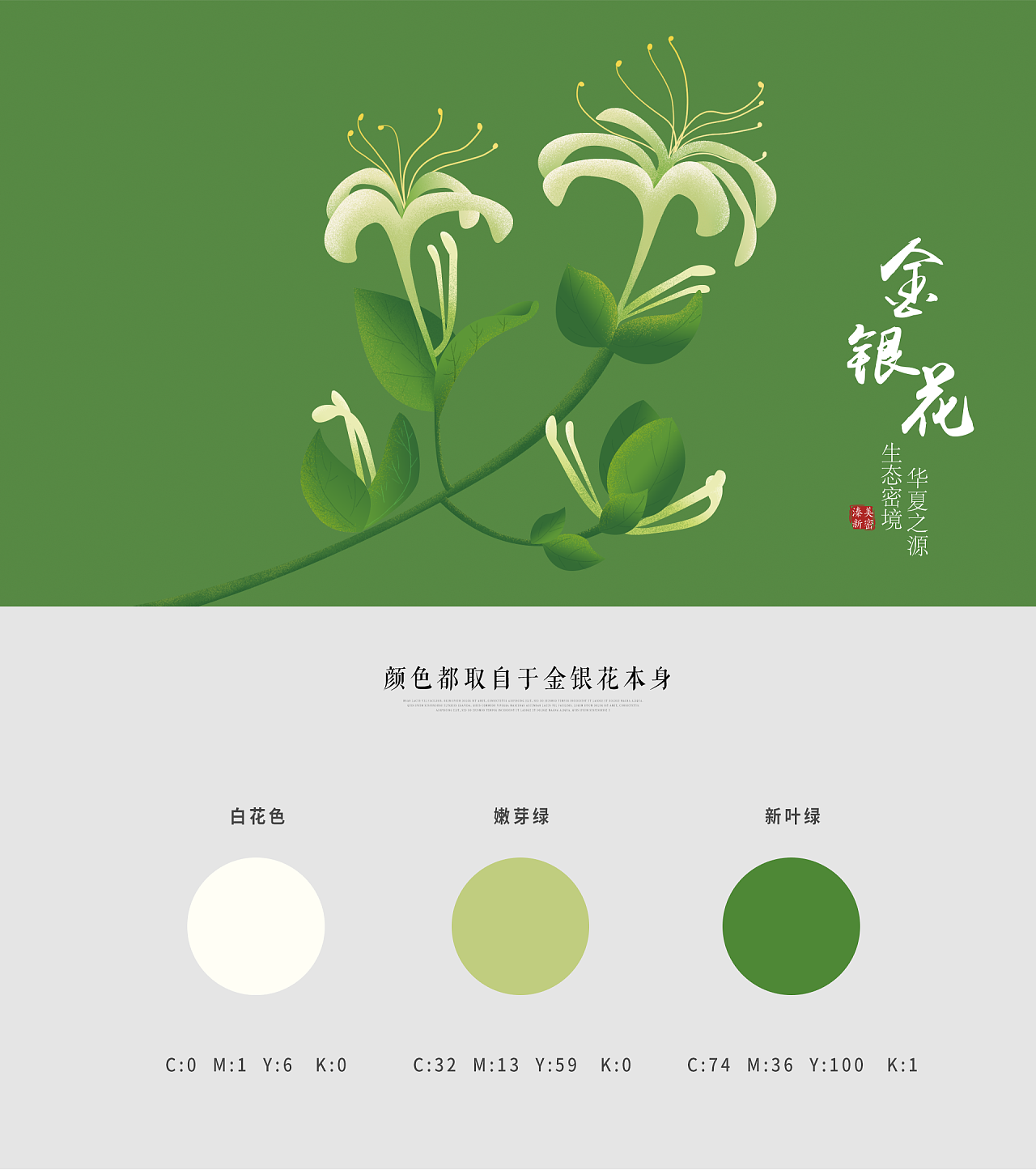 金银花包装设计|平面|包装|一只袜几 - 原创作品 - 站酷 (zcool)