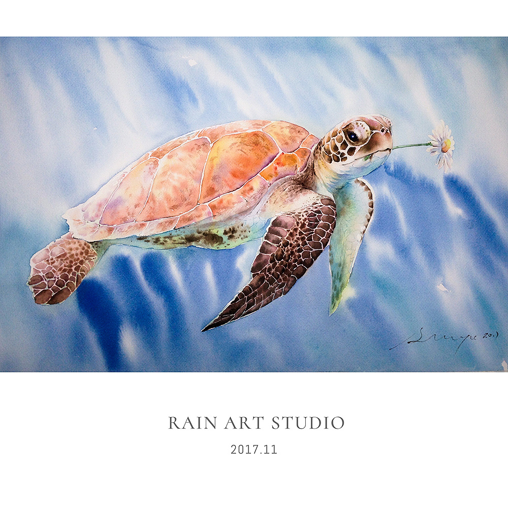 水彩 海龟