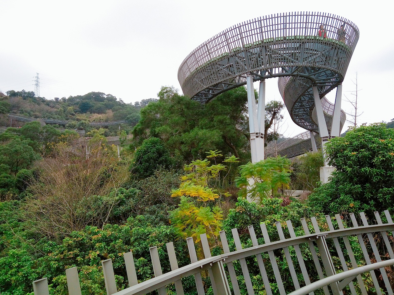 福道―福山郊野公园