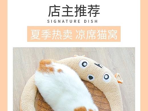 猫窝详情