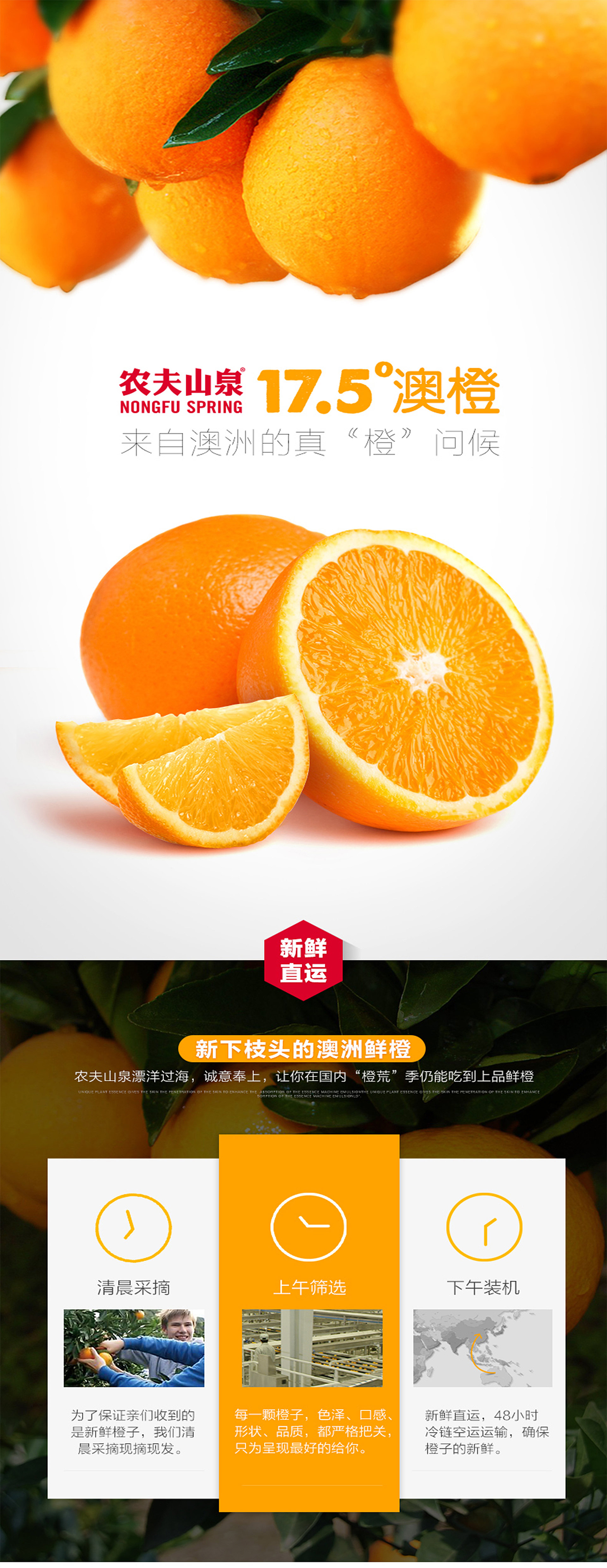 澳橙详情页（图ZOTk2Mjc0NTI=） - 运营设计 - 站酷设计师巴洛克视觉的影子原创素材 - 站酷ZCOOL