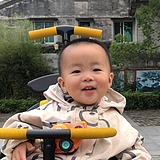 走迷的羔羊的头像
