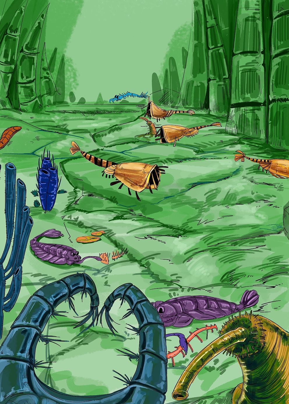 46亿岁的地球-生物多样的古生代（图ZMzY3MjE5ODU2） - 商业插画 - 站酷设计师点琢工作室原创素材 - 站酷ZCOOL