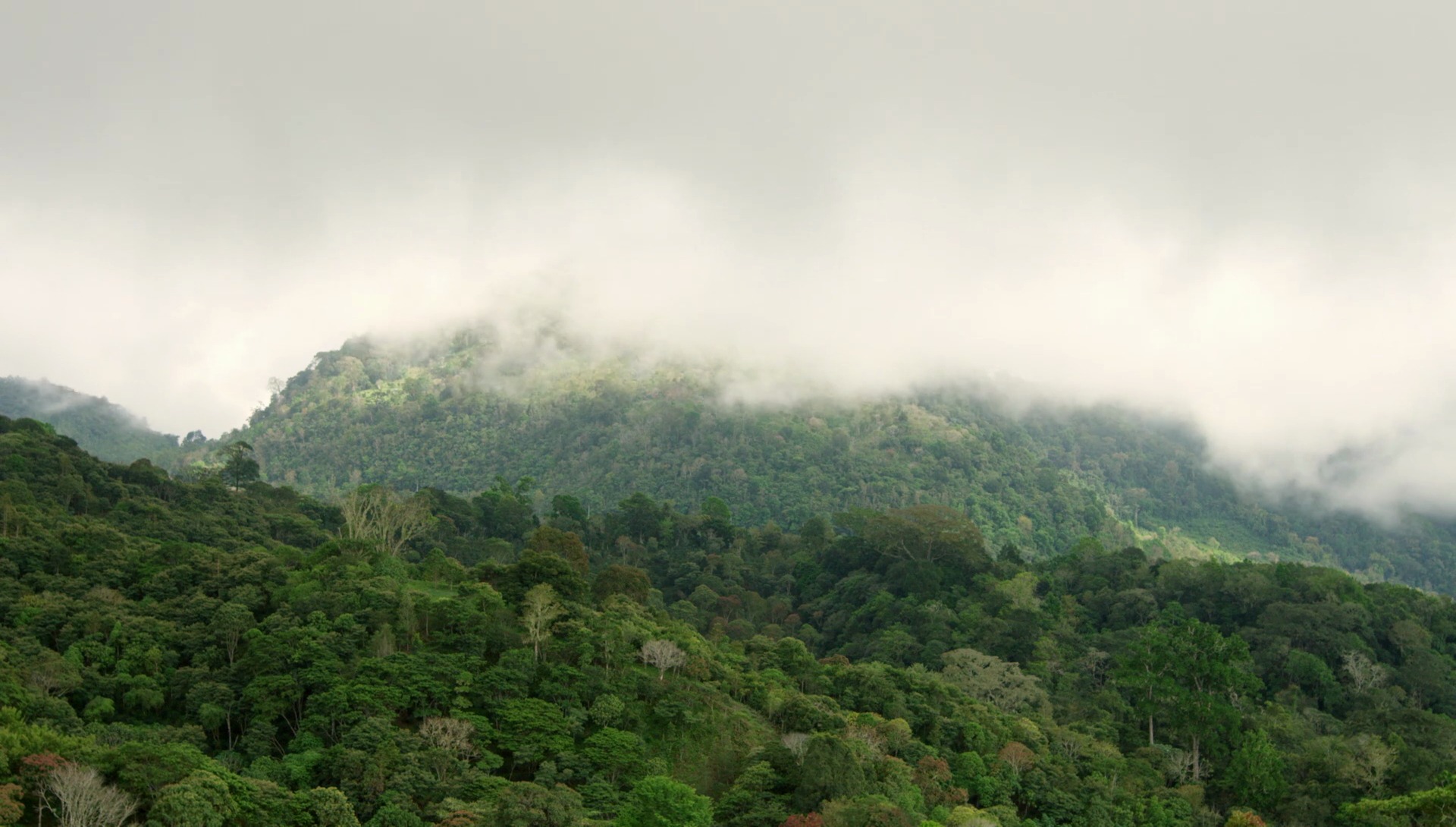 小猴子HHY0418的个人主页（封面预览） - 主页封面设置 - 站酷设计师小猴子HHY0418原创素材 - 站酷ZCOOL