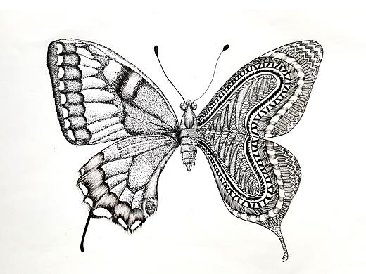 黑白装饰画 插画