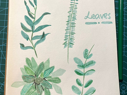 手绘食谱Vol.53 🌿🌿🌿