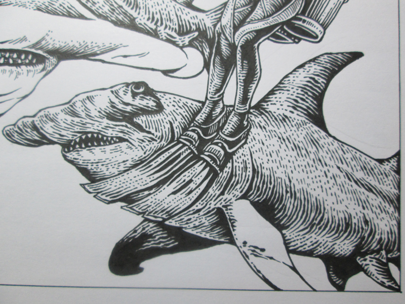 深海系列——遇见锤头鲨(手绘过程)