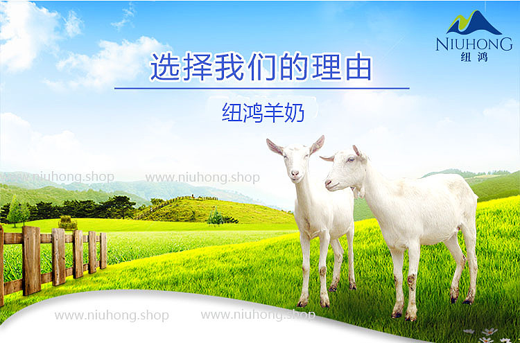 纽鸿羊奶产品（图ZODUxODI2OTY=） - 宣传物料 - 站酷设计师小天使1号原创素材 - 站酷ZCOOL