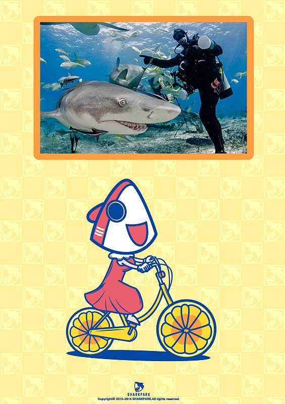 这头柠檬鲨径直游向摄像头时,似乎在呲牙而笑,看起来就像在说:嗨,给我