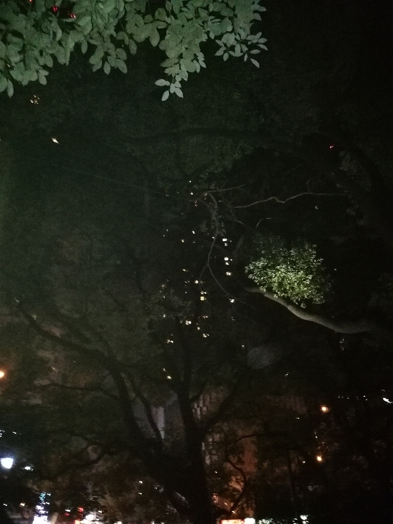 世界一角（图ZMTMxMzcyMDQ0） - 人文/纪实摄影 - 站酷设计师过云雨微笑原创素材 - 站酷ZCOOL