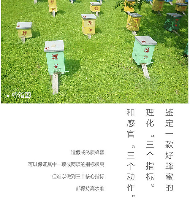 蒙面小熊闺蜜装系列（图ZOTk1ODQzODg=） - 电商 - 站酷设计师蒙面小熊甜蜜王国原创素材 - 站酷ZCOOL