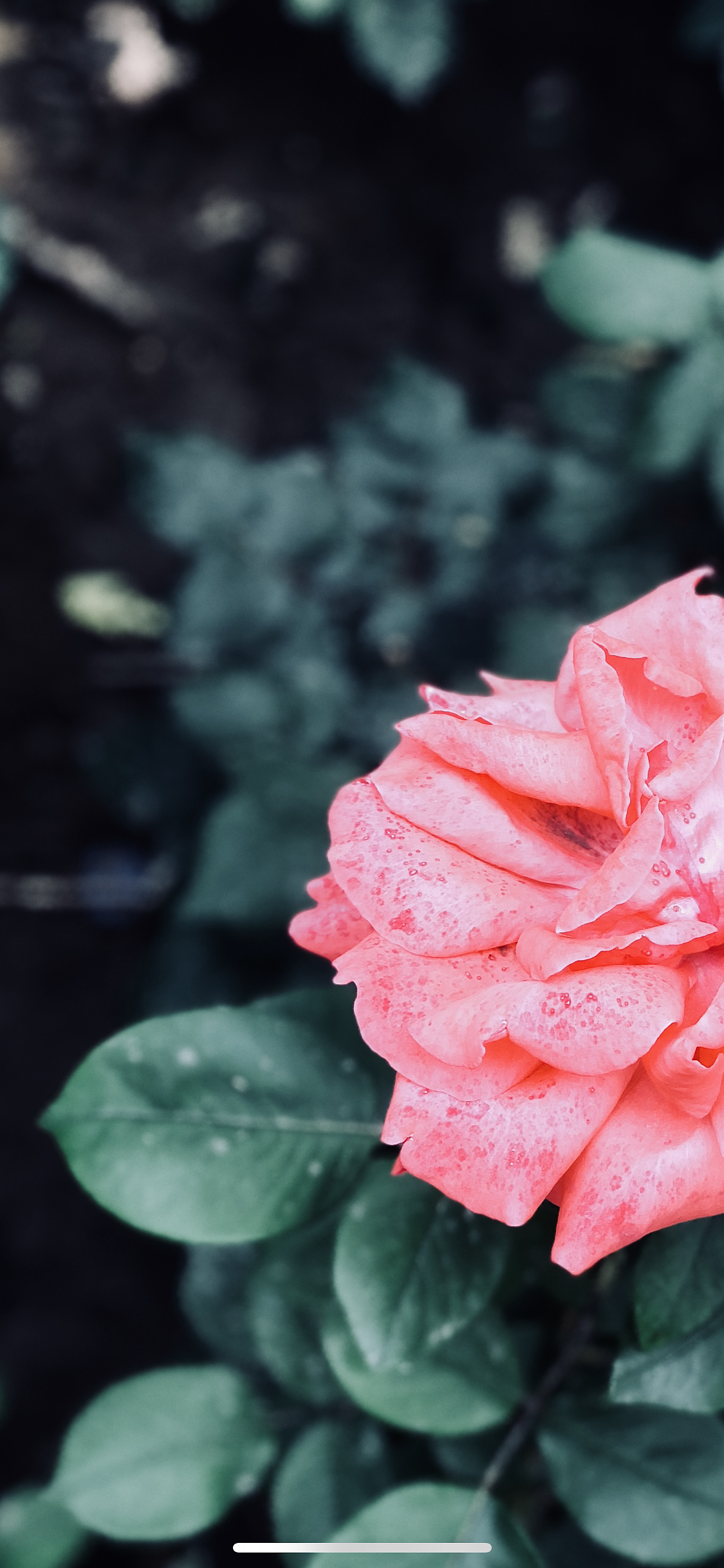 如何快速找到心仪对象技巧分享（图ZMTE1MjA3NTg4） - 人文/纪实摄影 - 站酷设计师胡三刀原创素材 - 站酷ZCOOL