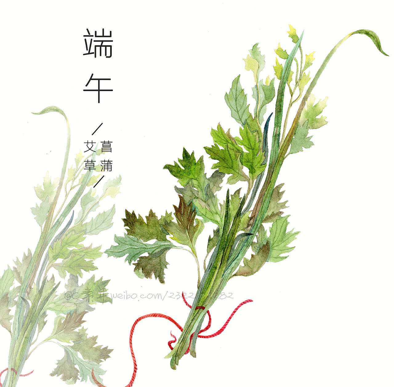 端午/艾草菖蒲（图ZODA3NjM4ODg=） - 商业插画 - 站酷设计师C素年原创素材 - 站酷ZCOOL