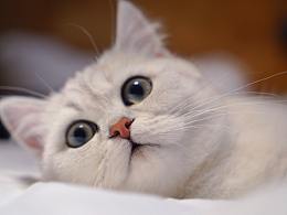 摄于六个月—哔哩