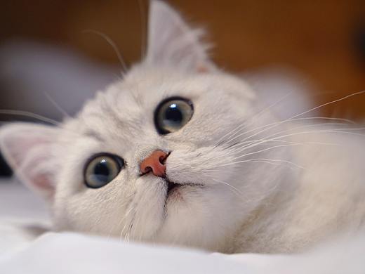 摄于六个月—哔哩