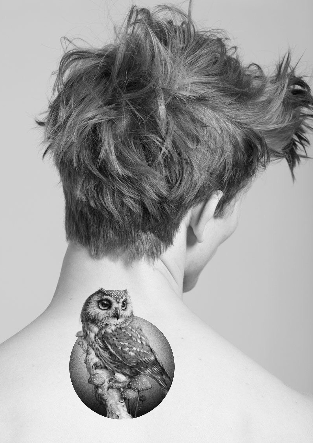 素描单针雕塑/鸟类小清新文身设计（图ZMTg3OTI3ODAw） - 图案 - 站酷设计师夏莉斯原创素材 - 站酷ZCOOL