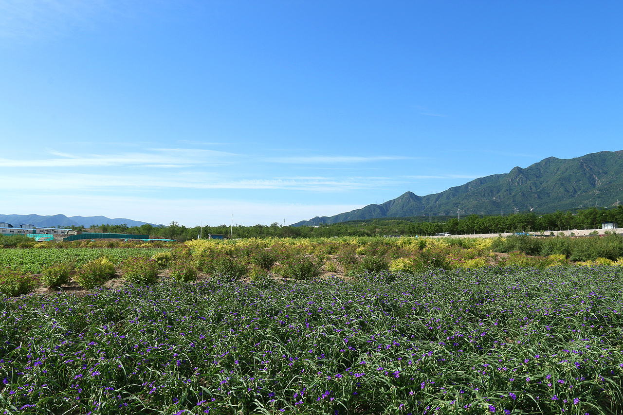 北京凤凰岭自然风景区  杨力 风光摄影作品