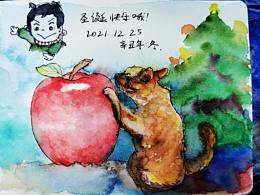 无处不在喵星人