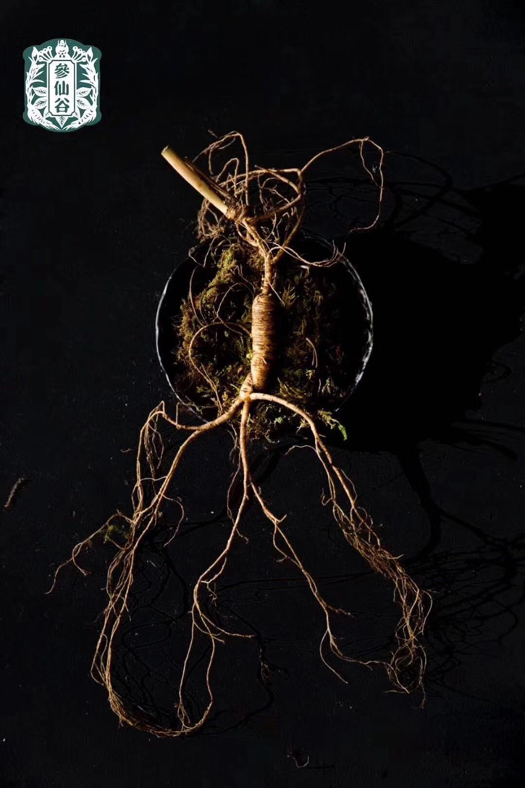 參仙谷-營(yíng)養(yǎng)養(yǎng)生品牌VI形象設(shè)計(jì)-品深設(shè)計(jì)（圖ZMTc2ODg3NTk2） - 品牌 - 站酷設(shè)計(jì)師品深策劃設(shè)計(jì)黑皮原創(chuàng)素材 - 站酷ZCOOL