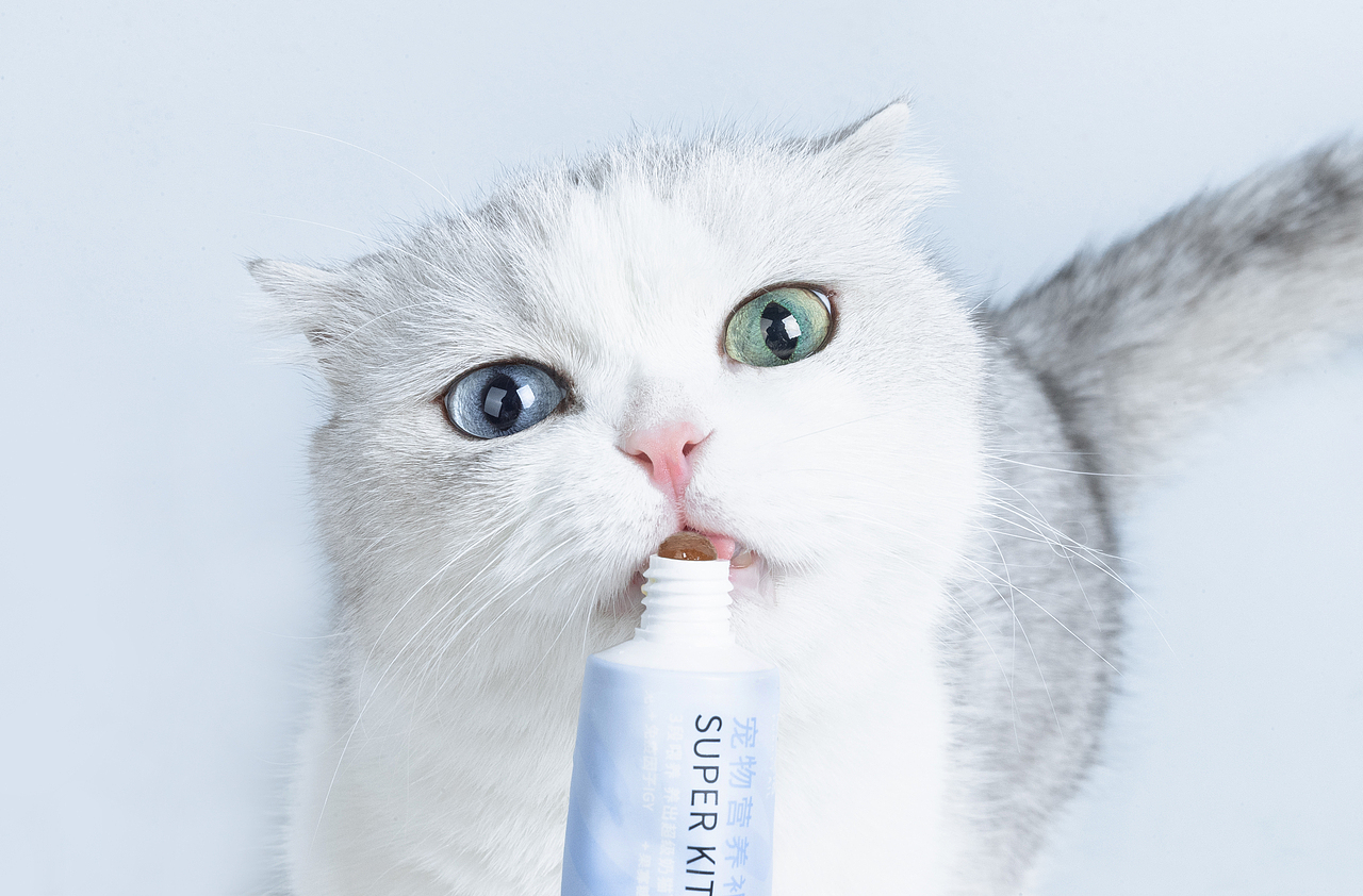 超级奶猫 | 猫粮拍摄（图ZMTc3MDMzODg4） - 宠物摄影 - 站酷设计师Kaspa原创素材 - 站酷ZCOOL