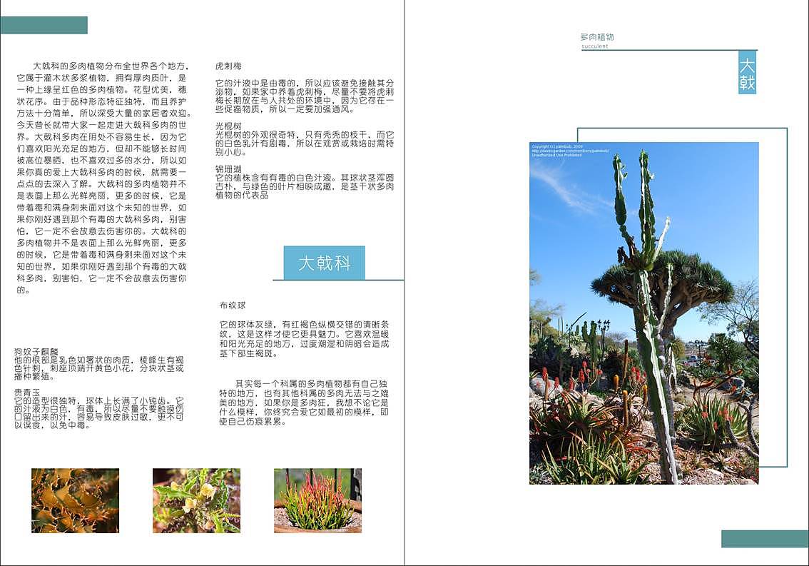 胖一点多肉手册（图ZMTY5NDAxNzQ0） - 书籍/画册 - 站酷设计师纸袋原创素材 - 站酷ZCOOL