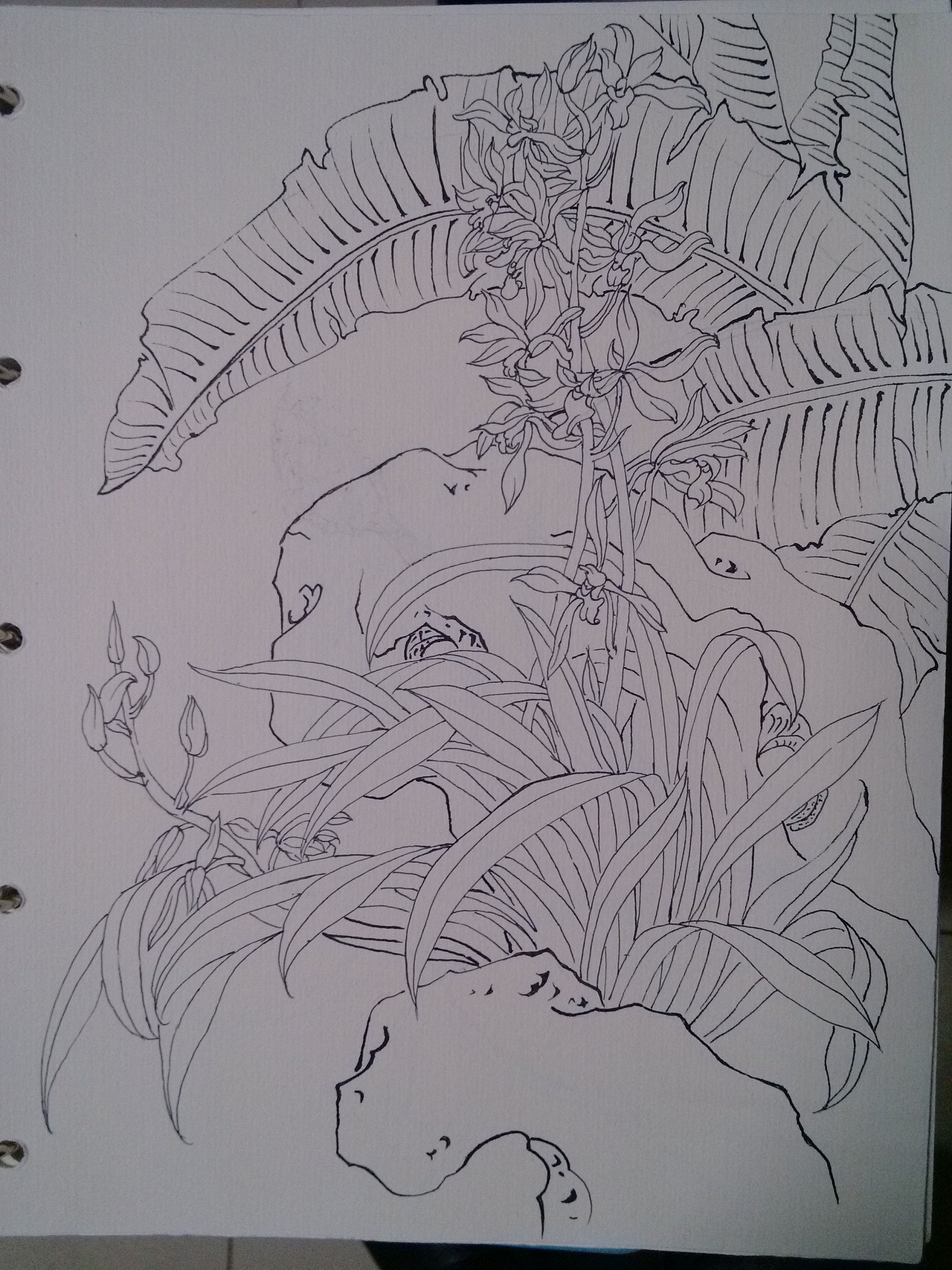 钢笔速写（图ZNTk1NjMzNTY=） - 艺术插画 - 站酷设计师甲甲玲原创素材 - 站酷ZCOOL