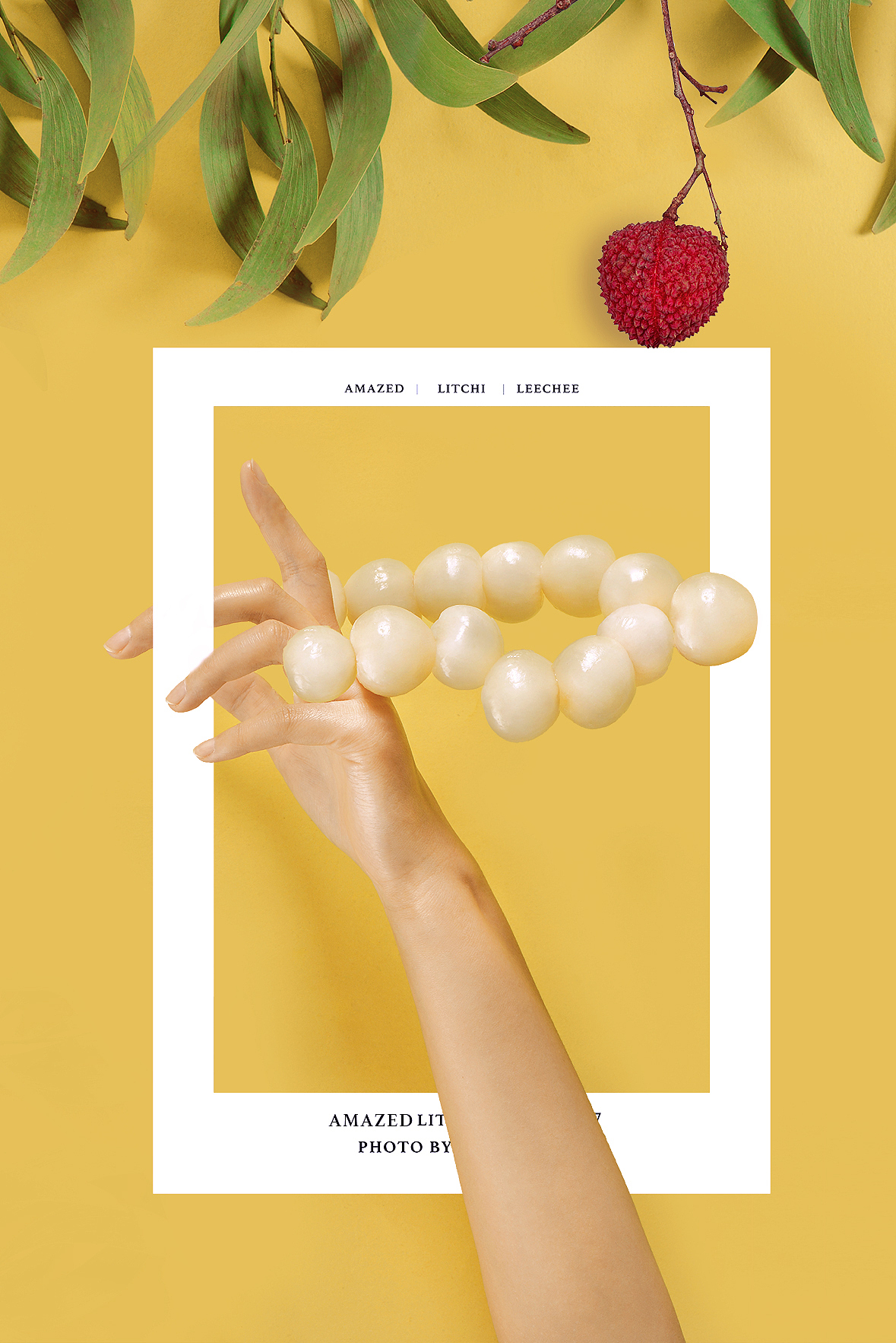 贵妃爱荔枝更爱珍珠（图ZODY0NDk5Njg=） - 其他摄影 - 站酷设计师YUM汤汤原创素材 - 站酷ZCOOL