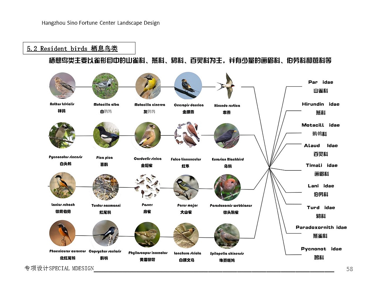 2019年环艺毕业设计作品（图ZMjU4Njg0OTI4） - 景观设计 - 站酷设计师杨文李原创素材 - 站酷ZCOOL