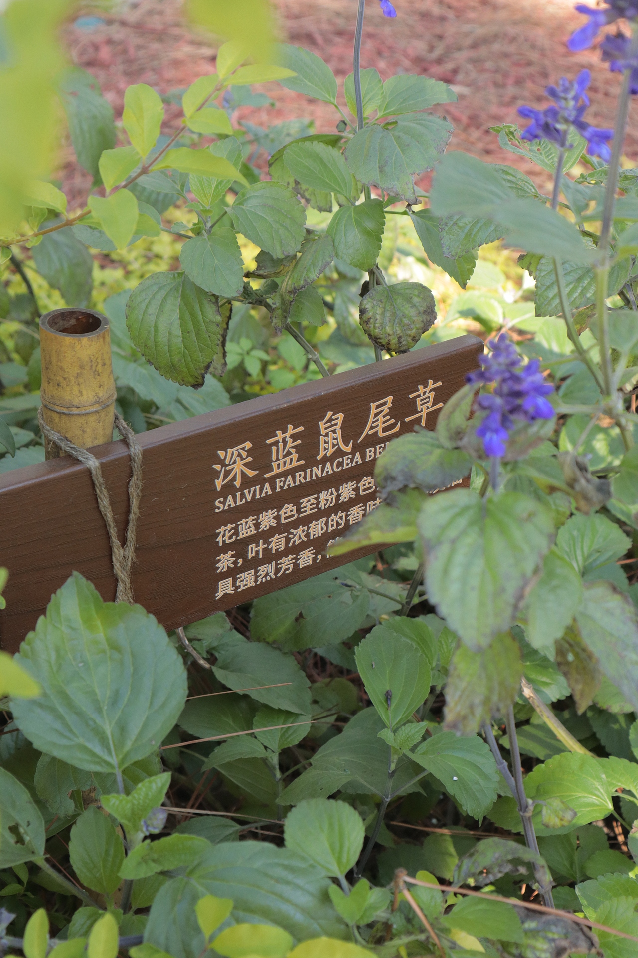 ENJOY LIFE ETERNITY（图ZMjc3NDE2MDM2） - 商业空间设计 - 站酷设计师落地为芷工艺社原创素材 - 站酷ZCOOL