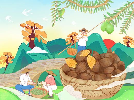 农产品包装设计国潮插画——区域农品香榧