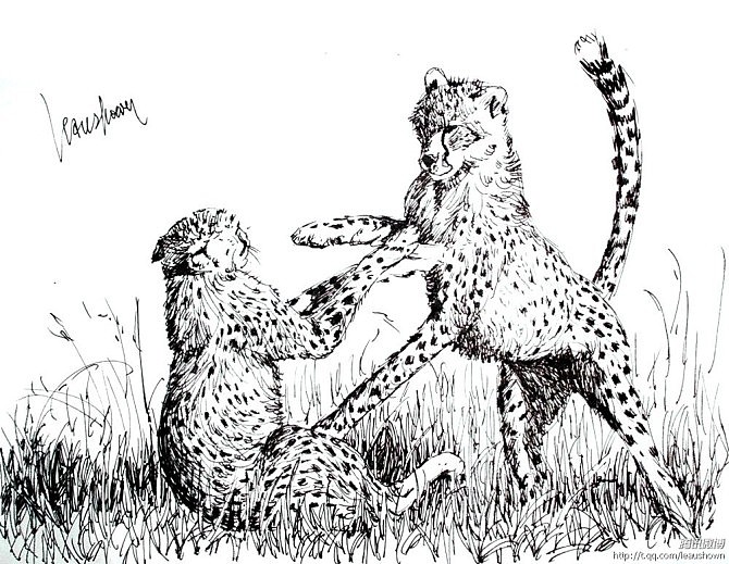 猫科动物练习（图ZNTQ5MzM1NzI=） - 创作习作 - 站酷设计师leaushown原创素材 - 站酷ZCOOL