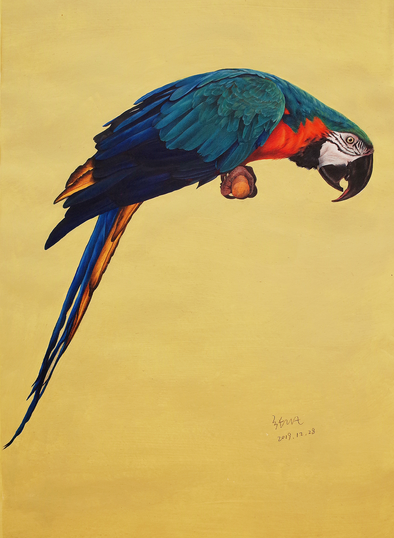 手绘彩铅鹦鹉2（图ZMTkyNTY1MzUy） - 绘画 - 站酷设计师HENRY凡原创素材 - 站酷ZCOOL