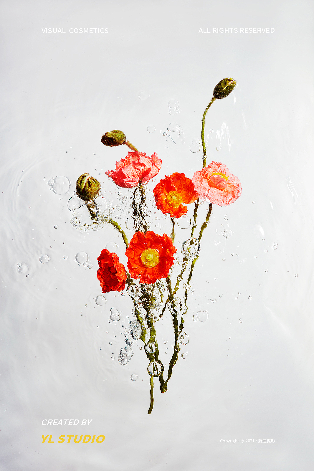 等花开 | MCL花皙蔻 ✖ 野鹿摄影