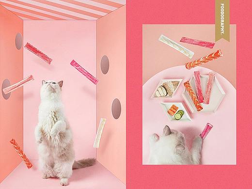 猫粮摄影 | 领先猫粮 ✖ foodography