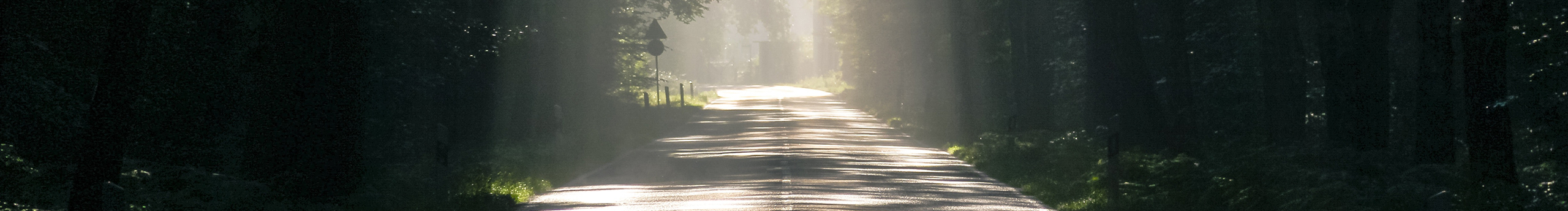 秋風(fēng)予禾的個人主頁（封面預(yù)覽） - 主頁封面設(shè)置 - 站酷設(shè)計師秋風(fēng)予禾原創(chuàng)素材 - 站酷ZCOOL