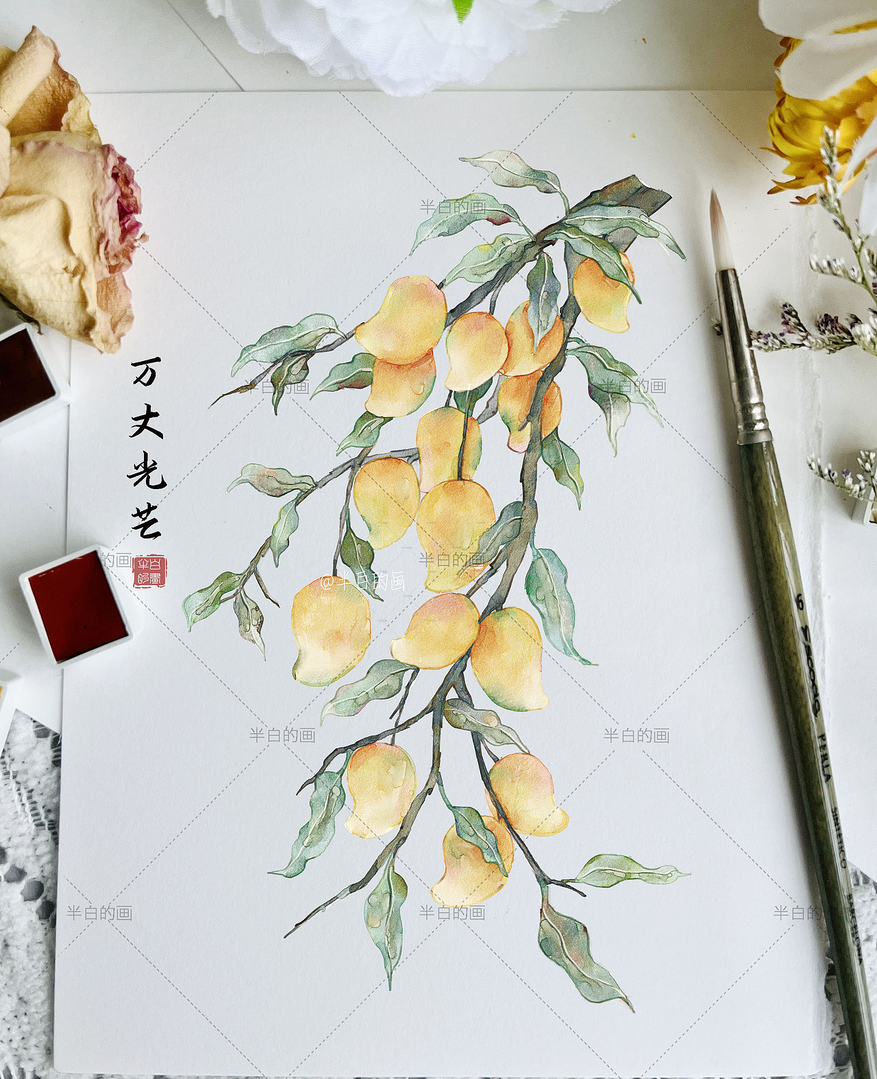 水果插画合集（图ZMzAzMjQwMzAw） - 商业插画 - 站酷设计师半白的画原创素材 - 站酷ZCOOL