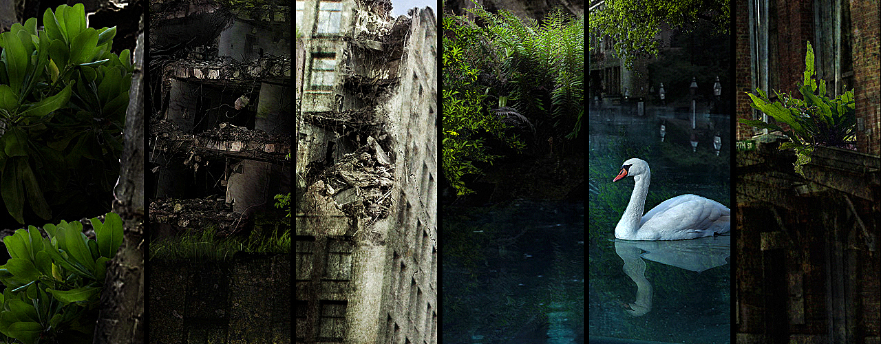 【人类消失后的世界】