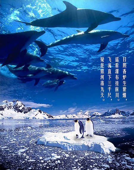 PS合企鹅与鲸鱼（图ZMTg5NzM0NzI0） - 海报 - 站酷设计师早图设计原创素材 - 站酷ZCOOL