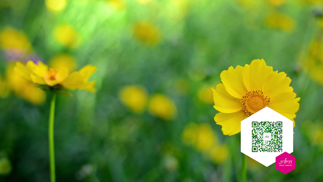 2016年 三把刀作品总结:平常却不平庸!