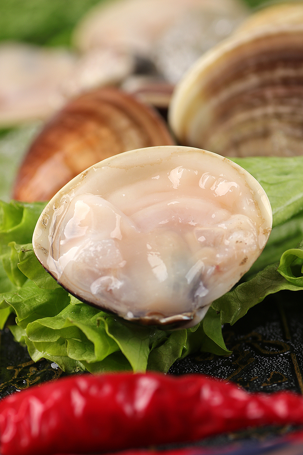 大文蛤丨海鲜电商客户约拍丨飞鸟电商